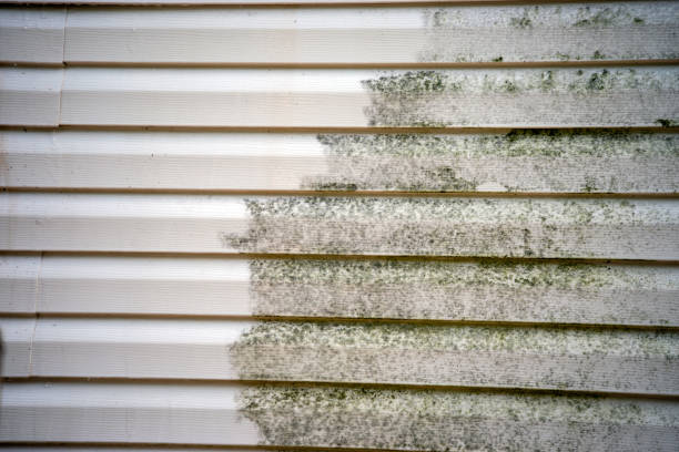 Best Siding Removal and Disposal  in New Market, MD